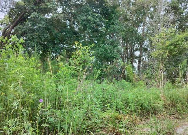 Property at 96 N Sheltering Oaks Dr, Inverness, FL 34453