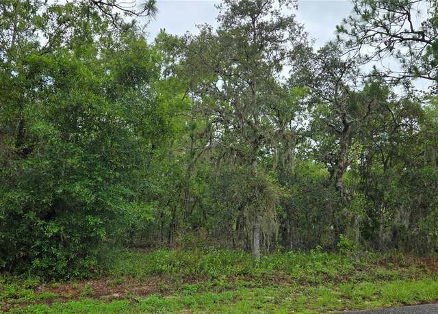 Property at 1308 N Prospect Ave, Lecanto, FL 34461
