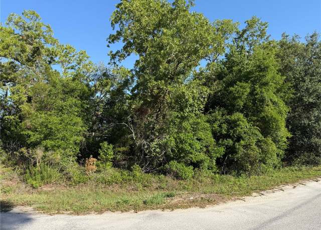 Property at TBD SE 154th St, Summerfield, FL 34491