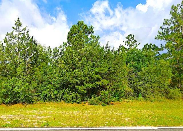 Property at Fairview Rd, Alford, FL 32420