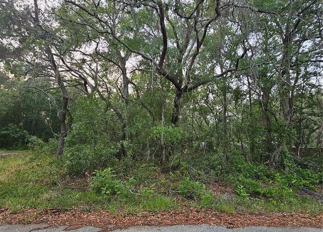 Property at 00 Doaks St, New Port Richey, FL 34654