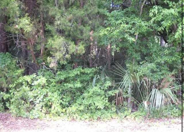 Property at 8438 W Elkhorn Dr, Homosassa, FL 34448