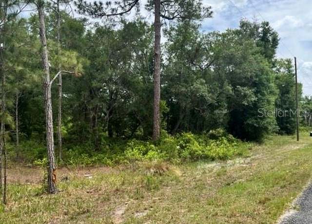 Property at TBD 170th SE Avenue Rd, Ocklawaha, FL 32179