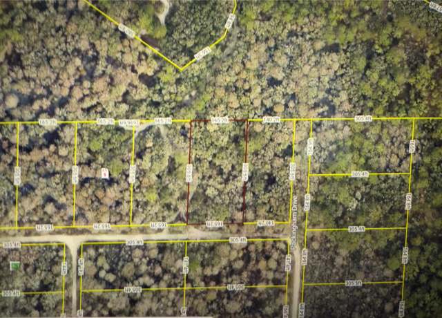 Property at Rose Bloom Ave, Webster, FL 33597