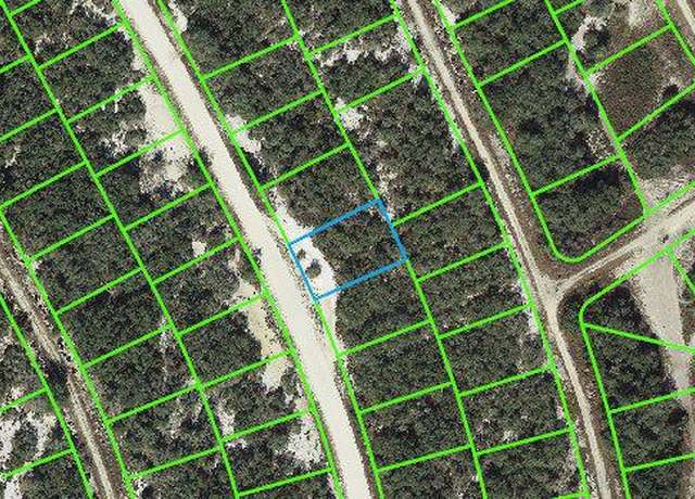 Property at 217 Hopedale Dr, Lake Placid, FL 33852