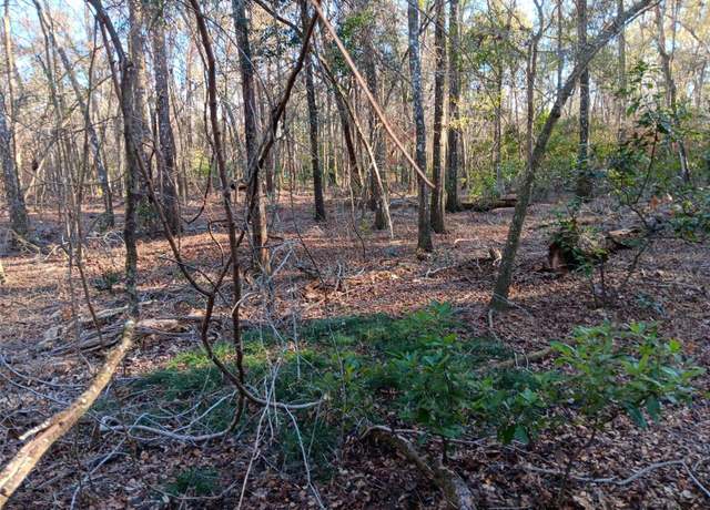 Property at 00 NE 127 St Unit N127S, Branford, FL 32008