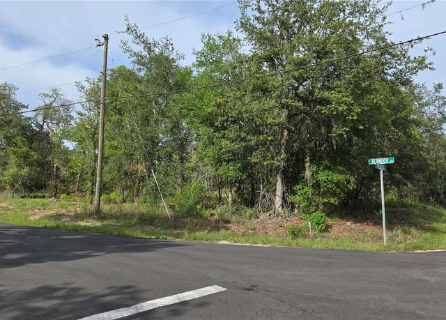 Property at 4771 N Redwood Ave, Hernando, FL 34442