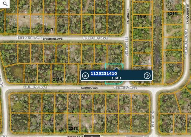 Property at lot#10 Calaba St, North Port, FL 34288