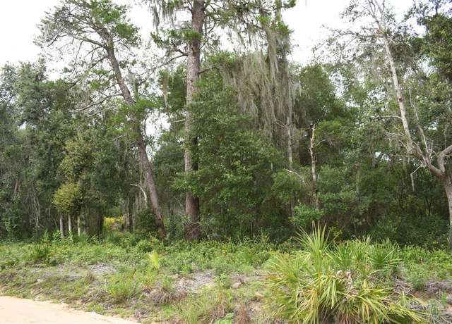 Property at TBD NE 213th Ln, Fort Mc Coy, FL 32134