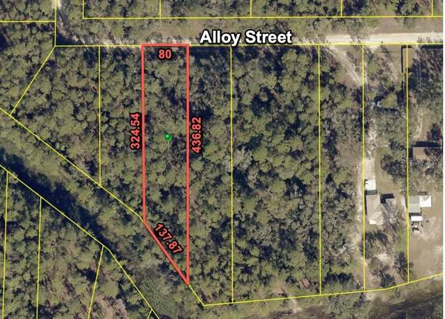 Property at 7255 Alloy St, Webster, FL 33597
