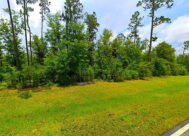 Property at Fairview Rd, Alford, FL 32420