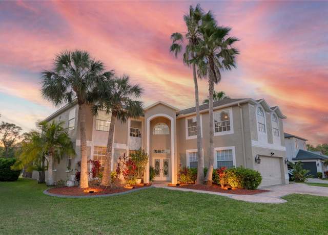 Property at 15618 Shoal Creek Pl, Odessa, FL 33556, 5 beds, 3.5 baths