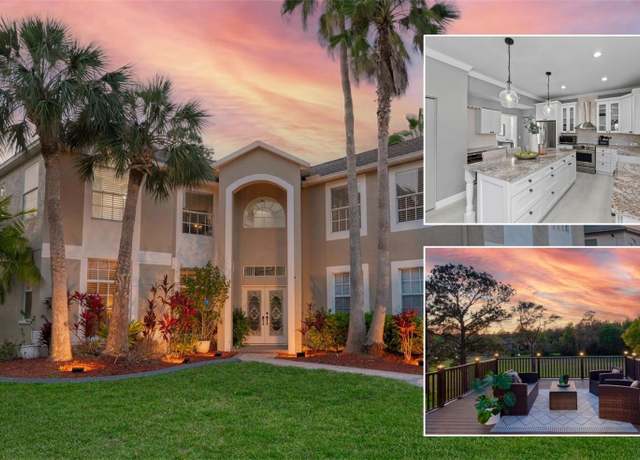 Property at 15618 Shoal Creek Pl, Odessa, FL 33556, 5 beds, 3.5 baths