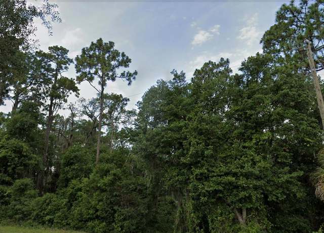 Property at TBD SE 49th St, Ocklawaha, FL 32179