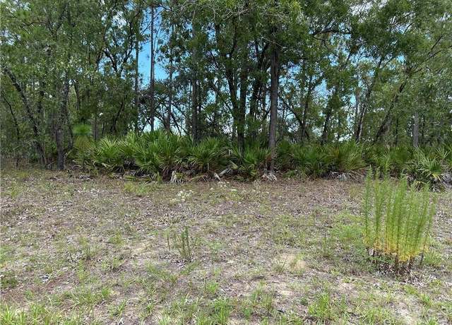Property at 1195 W Hampshire Blvd, Citrus Springs, FL 34434