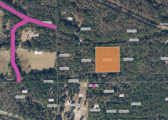 Property at 217 Easement Ln, Florahome, FL 32140