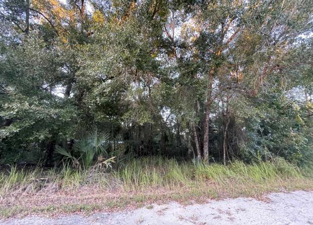 Property at NE 132nd St, Salt Springs, FL 32134