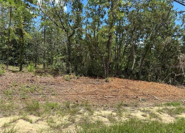 Property at 955 W Hampshire Blvd, Citrus Springs, FL 34434