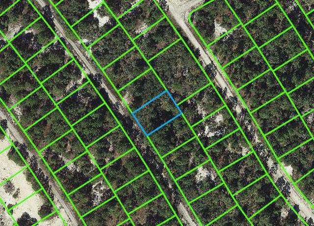 Property at 525 Dreamland Dr, Lake Placid, FL 33852