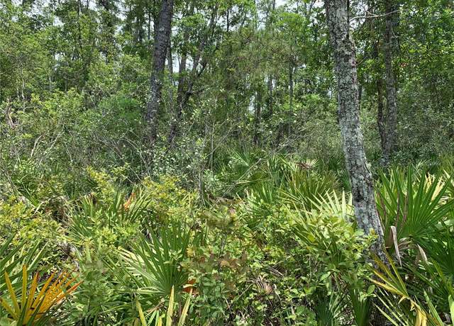 Property at NO Name St, Pierson, FL 32180