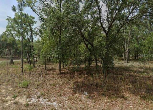 Property at 1592 W Swanson Dr, Citrus Springs, FL 34434