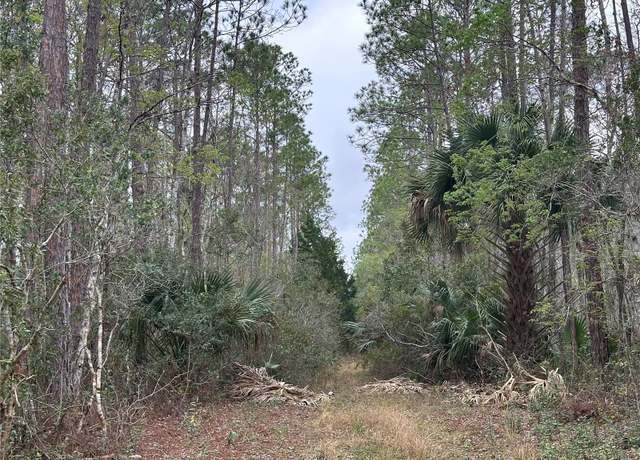 Property at N0 Street, Deland FL 32724, Deland, FL 32724