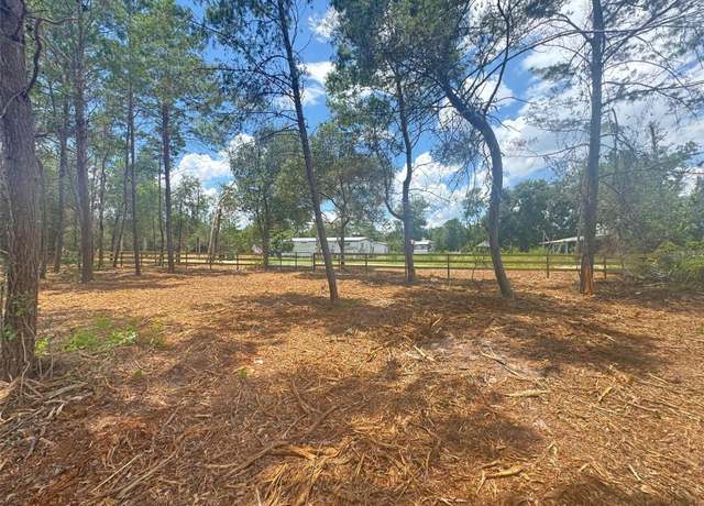Property at E Pine St, Paisley, FL 32767