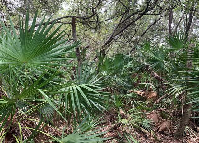 Property at NO Name St, Pierson, FL 32180