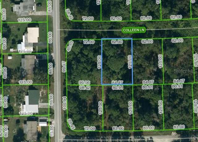 Property at 205 Colleen Ln, Lake Placid, FL 33852