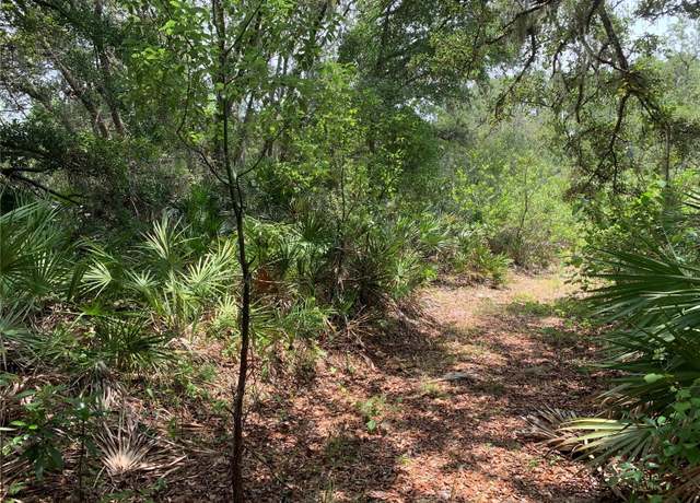Property at NO Name St, Pierson, FL 32180