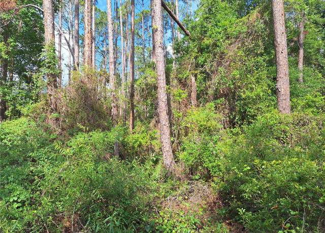 Property at Lot 38 NE 512th St, Old Town, FL 32680