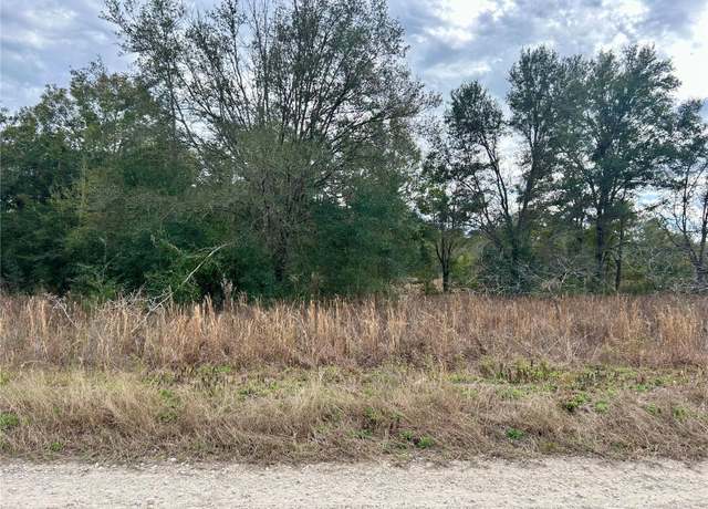 Property at Lot 151 SW 103rd Pl, Dunnellon, FL 34432
