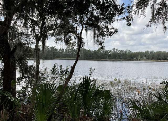 Property at TBD Lot 51 Malauka Radl, Ocklawaha, FL 32179