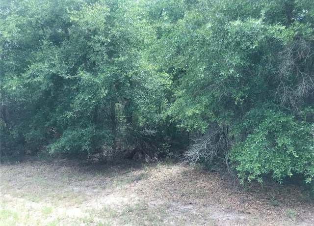 Property at 10161 N Dyal Dr, Citrus Springs, FL 34434