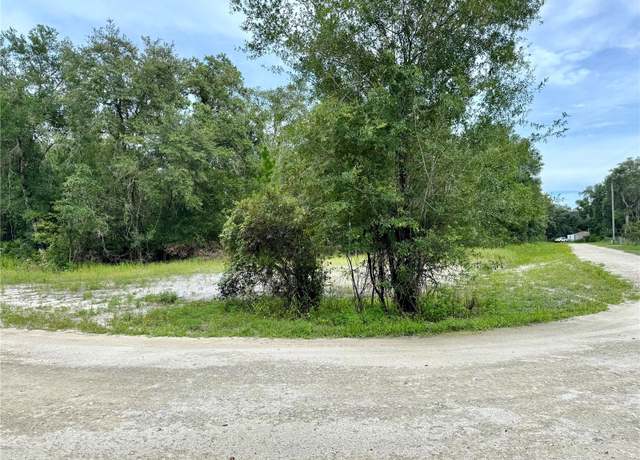 Property at Rose Bloom Ave, Webster, FL 33597