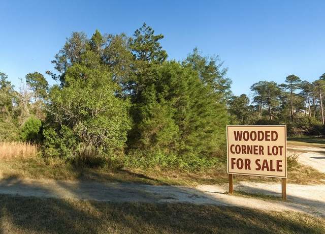 Property at 00 NE 235th Pl, Fort Mc Coy, FL 32134