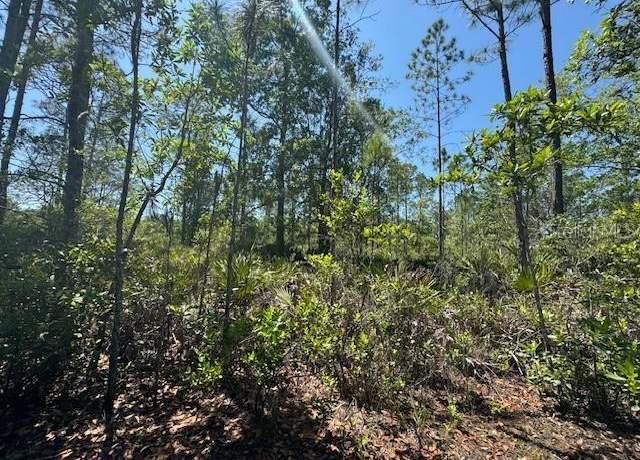 Property at Ninemile Point Rd, Pierson, FL 32180