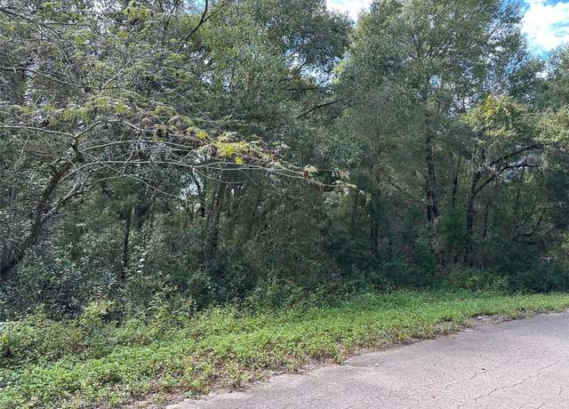 Property at TBD Guava Terrace Pass, Ocklawaha, FL 32179