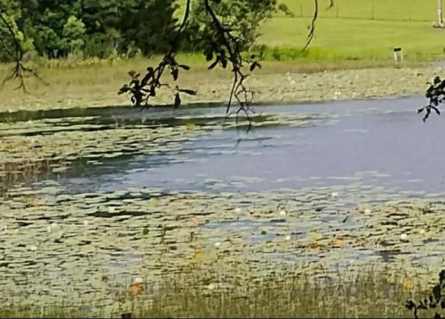 Property at S Lake Hiawatha Dr, Lady Lake, FL 32159