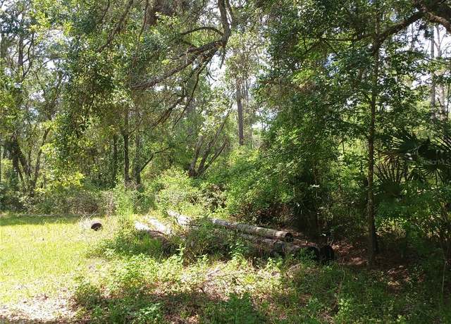 Property at 2319 W Wildflower Ct, Dunnellon, FL 34434