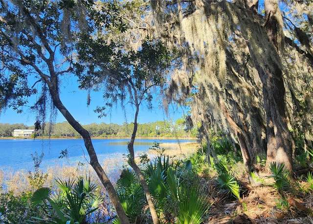 Property at 0000 Malauka Radl, Ocklawaha, FL 32179