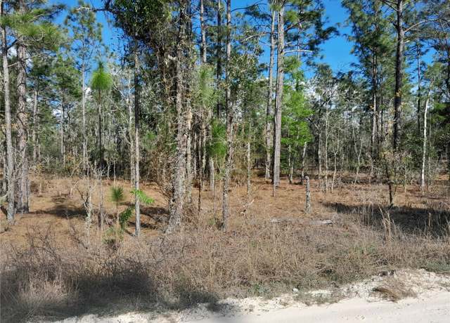 Property at tbd NE 150th Ave, Williston, FL 32696