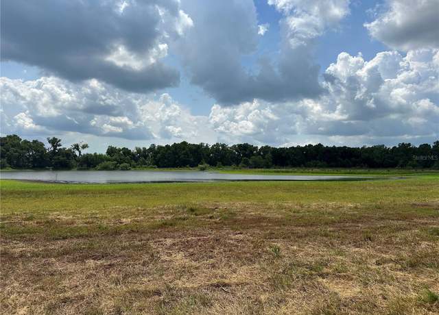Property at Palomino Lakes Dr, Dade City, FL 33523