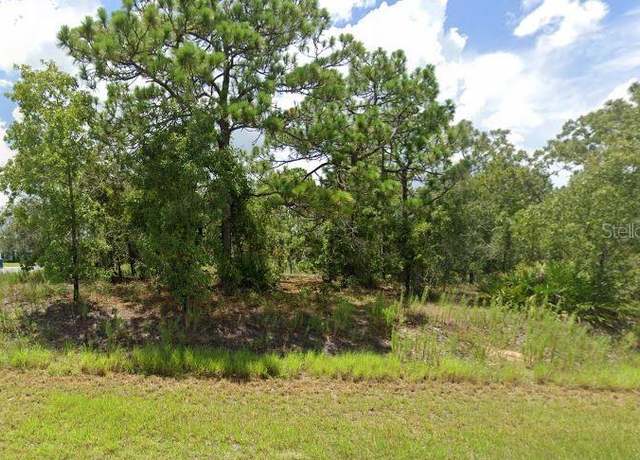 Property at 11233 Old Squaw Ave, Weeki Wachee, FL 34614