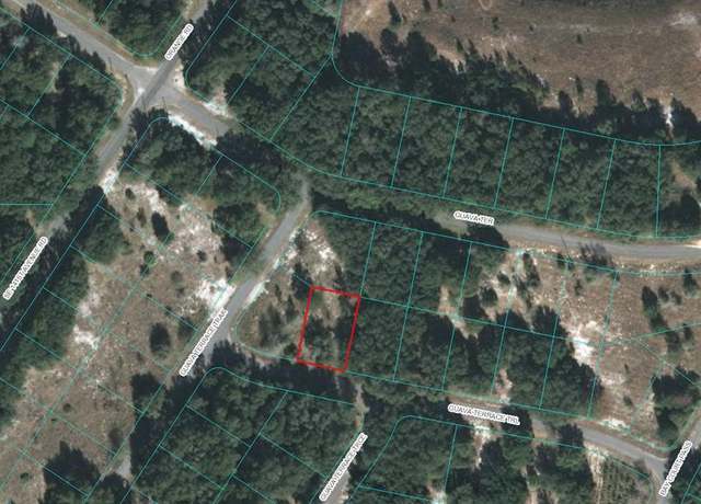 Property at 00 Guava Terrace Trl, Ocklawaha, FL 32179