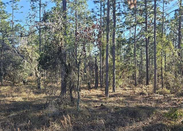 Property at Lot 13 NW Water Oak Ave, Dunnellon, FL 34431