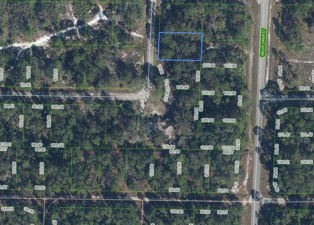 Property at 3202 S Dahlia Dr, Lake Placid, FL 33852