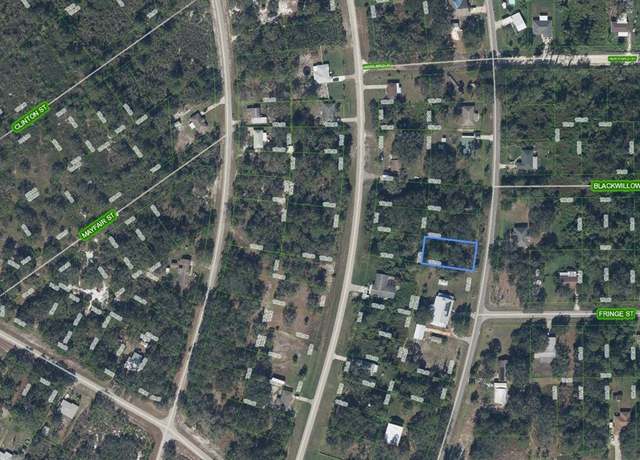 Property at 356 Bottlebrush Ave, Lake Placid, FL 33852