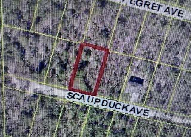 Property at Scaup Duck Ave, Weeki Wachee, FL 34614