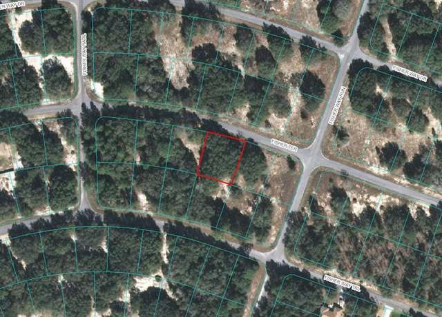 Property at 00 Fisher Ter, Ocklawaha, FL 32179